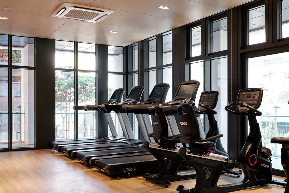 Hotel The Botanik Sewoon Myeongdong設施空間